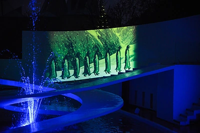 Londono zoologijos sodas / Vida Press nuotr.