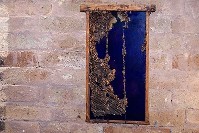 Magistrantų parodos „Cremo“ atidaymo akimirka/ Pauliaus Peleckio nuotr.