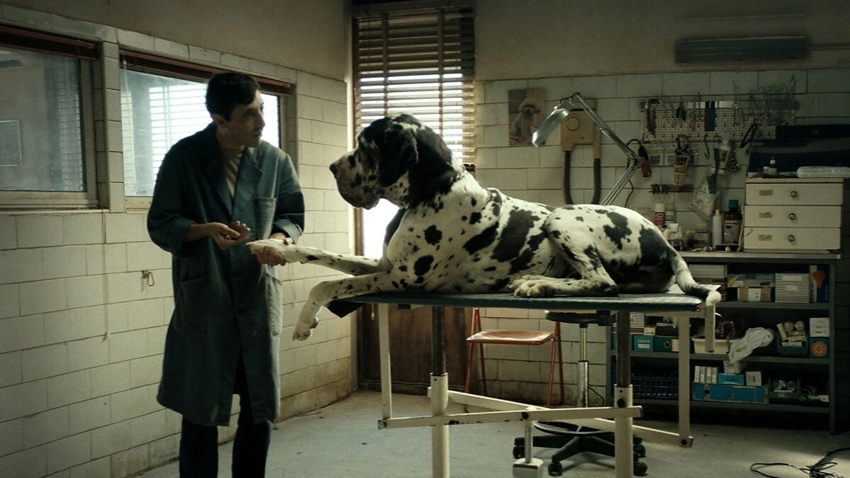 Filmas „Dogman“ / Organizatorių nuotr.