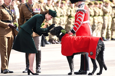 Kate Middleton su princu Williamu švenčia Šv. Patriko dieną / „Scanpix“ nuotr.