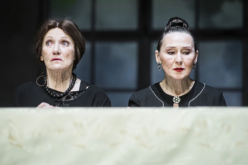 Spektaklio akimirka / D. Matvejev nuotr.