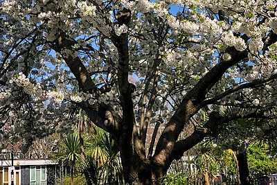 Londonas kūrėjos Deimantės Statinytės akimis/Asmeninio archyvo nuotr.