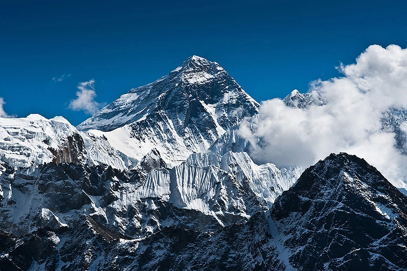 Everestas / Shutterstock.com nuotr.