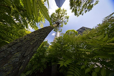 Atgimė legendinis bėgimas į dangoraižį „Europa“/Organizatorių nuotr.