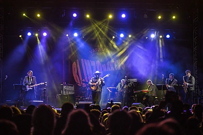 Festivalis „Bliuzo naktys 2019“