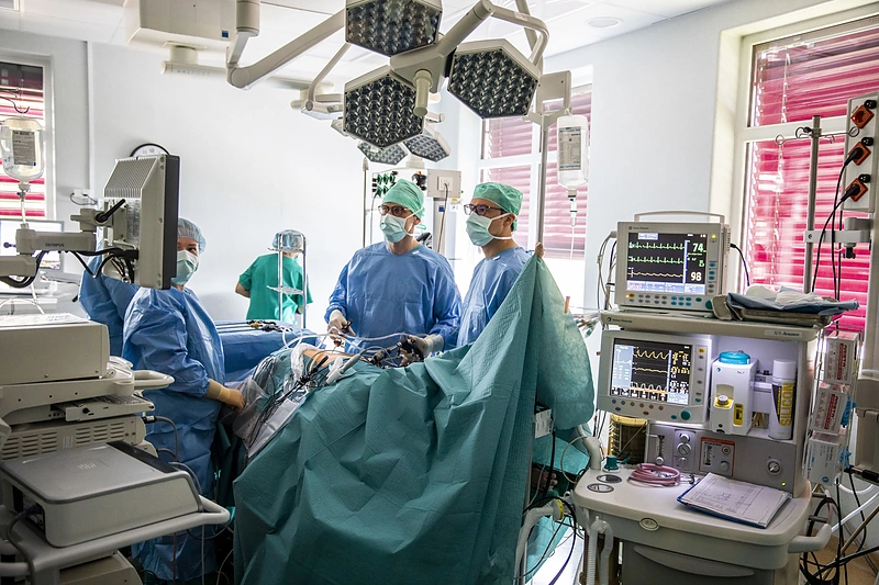 Inksto transplantacija iš gyvojo donoro / Luko Balandžio / 15min nuotr.