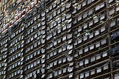 Išskirtinė LRT radijo imtuvų instaliacija Katedros aikštėje/Pauliaus Peleckio/„ŽMONĖS Foto“ nuotr.