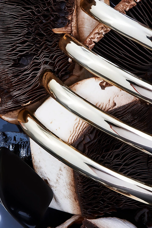 Justinas Vilutis pristato parodą „Baimė ryja sielą“