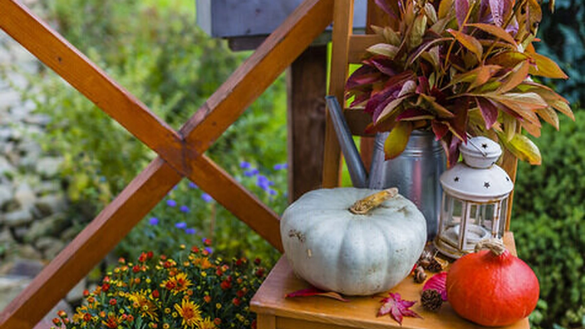 Terasos dekoravimo idėjos/Organizatorių nuotr.