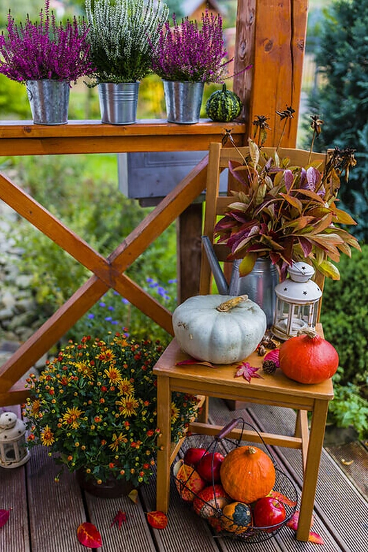 Terasos dekoravimo idėjos/Organizatorių nuotr.