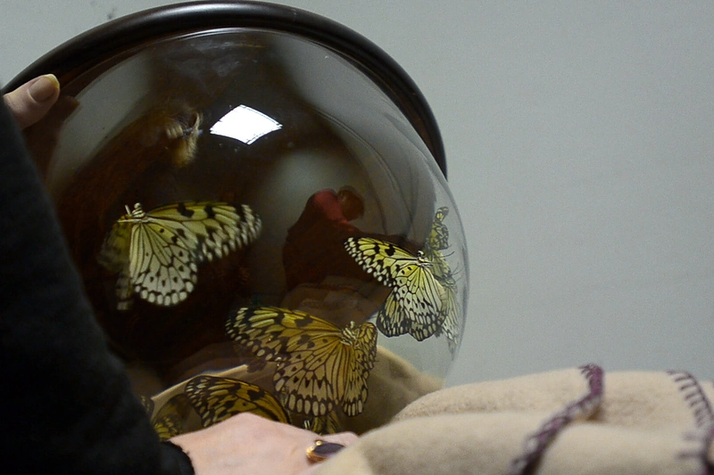 Kadras iš filmo „Vienas gyvenimas“