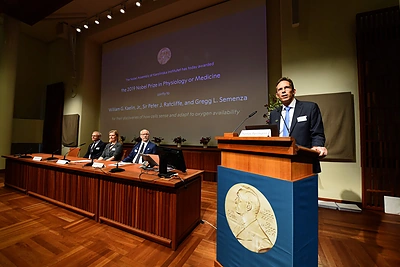 2019-ųjų Nobelio medicinos premijos paskelbimas / „Scanpix“ nuotr.