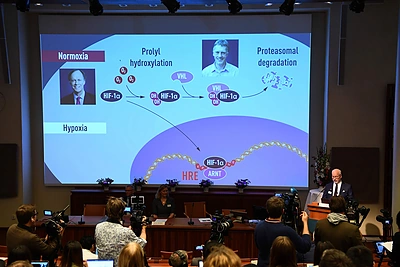 2019-ųjų Nobelio medicinos premijos paskelbimas / „Scanpix“ nuotr.