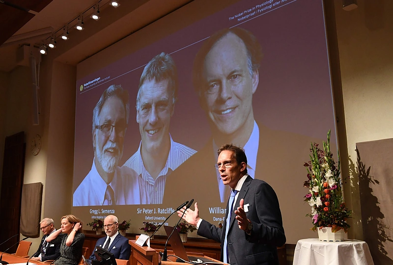 2019-ųjų Nobelio medicinos premijos paskelbimas / „Scanpix“ nuotr.