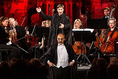 Koncerto akimirka/Gretos Skaraitienės nuotr.