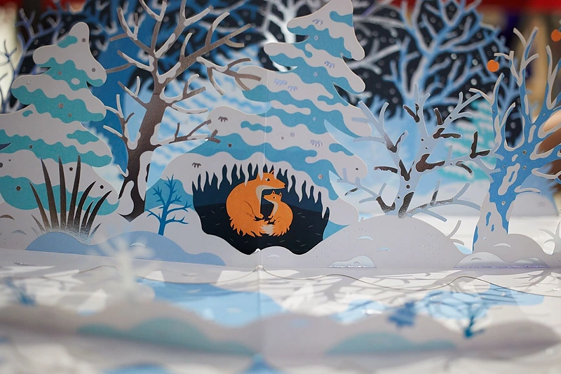 Elenos Selenos knygos „Sniegas“ pristatymas/Organizatorių nuotr.