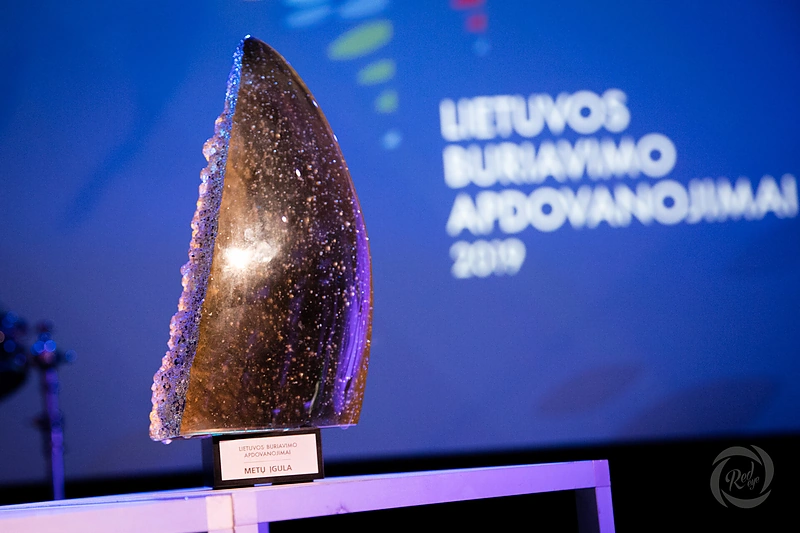 Apdovanojimų akimirka/Organizatorių nuotr.