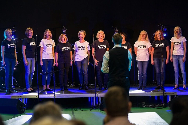 Neringos gimtadienio šventė/Organizatorių nuotr.