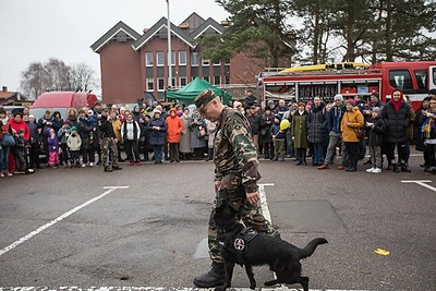 Neringos gimtadienio šventė/Organizatorių nuotr.