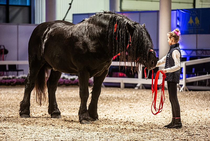 Edukacinė paroda „Žirgai 2019“/Gretos Skaraitienės/„ŽMONĖS Foto“ nuotr.