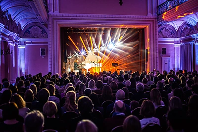 Alinos Orlovos šventinis pasirodymas Vilniuje/Manto Repečkos nuotr.