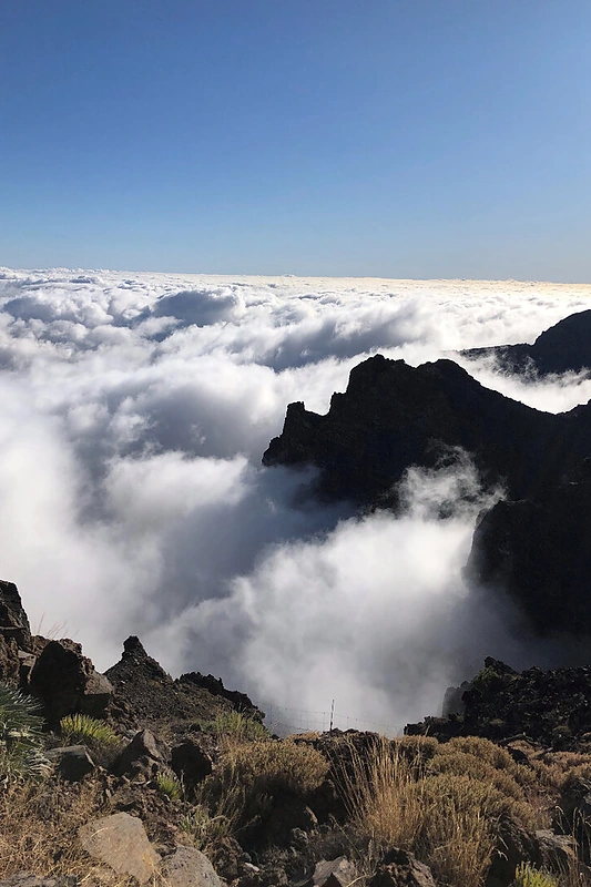 La Palma/ Organizatorių nuotr.