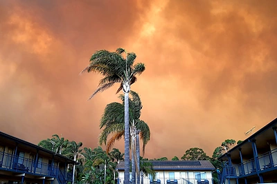 Gaisrai Australijoje/Vida Press nuotr.