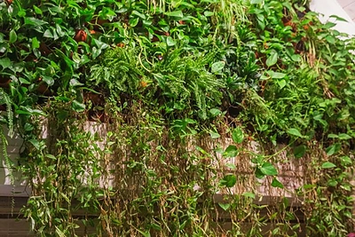 „Atokampis Boutique SPA&Resort“ / Ignoto Kuprio / 15min nuotr.