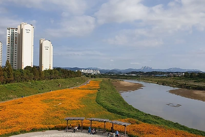 Paju/ Dainos Baublytės asmeninio archyvo nuotr.
