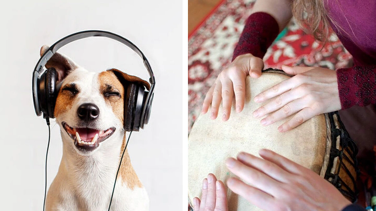 Muziką sudarantys komponentai veikia ne tik mūsų jausmus, bet ir kūną/ 123rf ir D. Gečės nuotr. koliažas