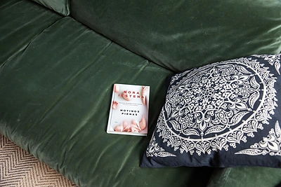 Eglės Žiemytės namai/ Irmanto Gelūno „ŽMONĖS Foto“ nuotr.