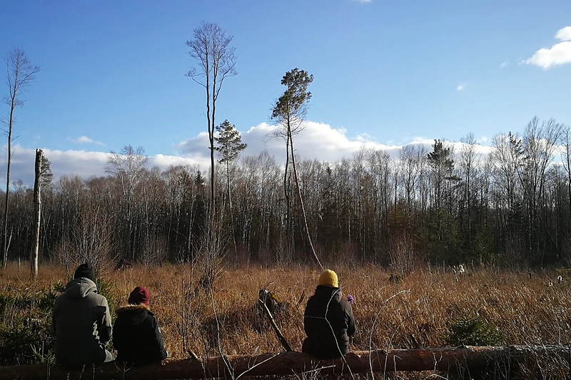 Dainą apie griūvantį pasaulį „Ką darysi?“ kūrė visa šeima/ Sandros Senkės nuotr.