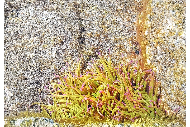 Jurgos Baltrukonytės pasivaikščiojimas/Asmeninio archyvo nuotr.