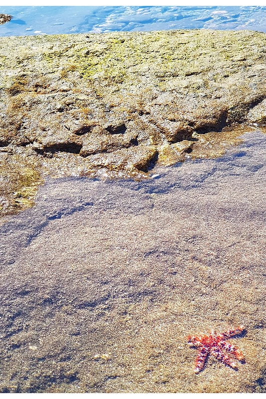 Jurgos Baltrukonytės pasivaikščiojimas/Asmeninio archyvo nuotr.