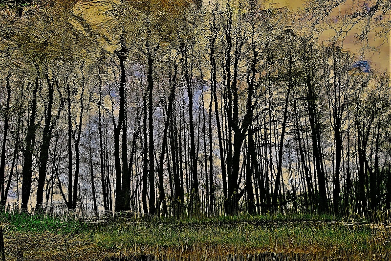Fotografijų ciklas „Bala pamatė“/ Lilijos Valatkienės nuotr.