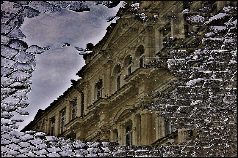 Fotografijų ciklas „Bala pamatė“/ Lilijos Valatkienės nuotr.