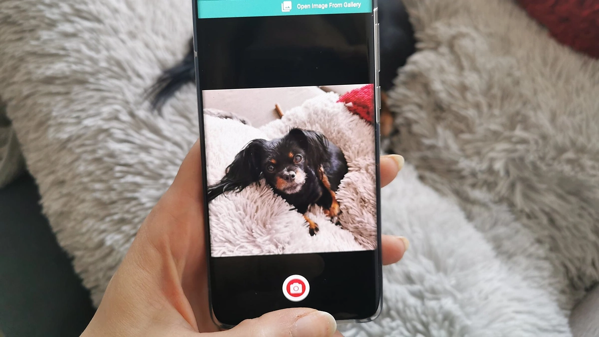 „Huawei“/Gamintojo nuotr.