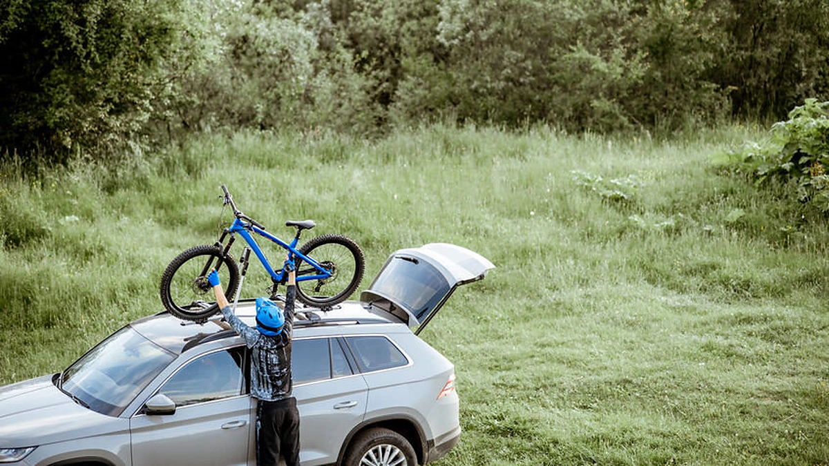 Atvira stogo bagažinė/rėmas.