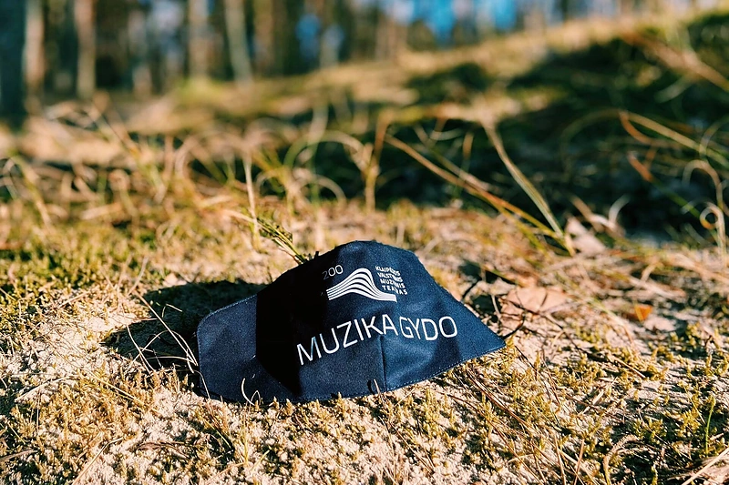 Muzika gydo/Organizatorių nuotr.