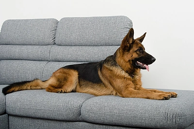 „Lauksva“ nuotr.