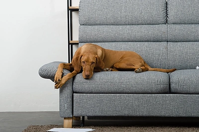 „Lauksva“ nuotr.