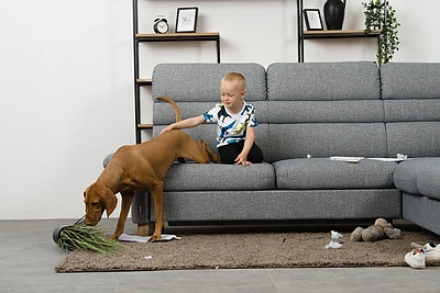 „Lauksva“ nuotr.