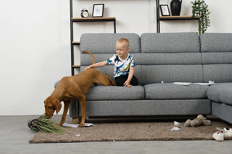 „Lauksva“ nuotr.