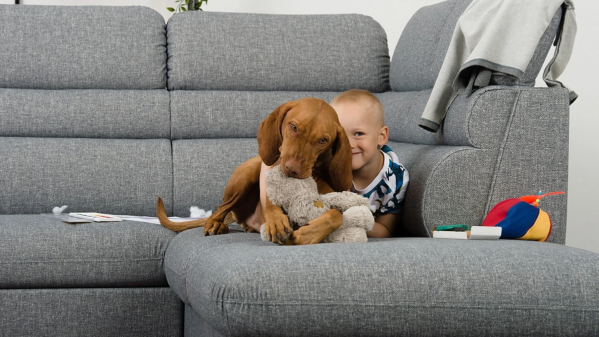 „Lauksva“ nuotr.