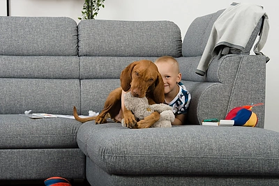 „Lauksva“ nuotr.