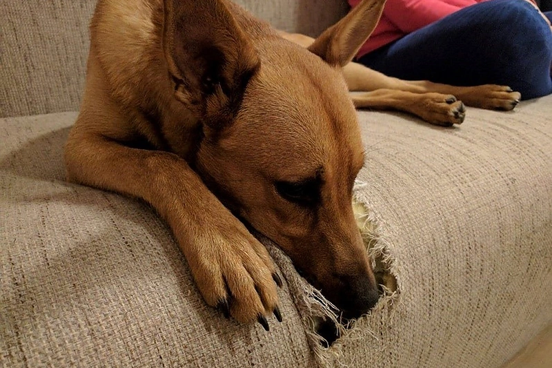 „Lauksvos“ kliento nuotr.