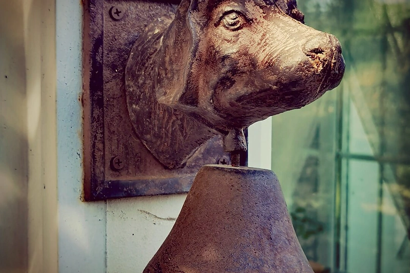 „Huawei P40 Pro“ išmaniuoju telefonu daryta nuotrauka