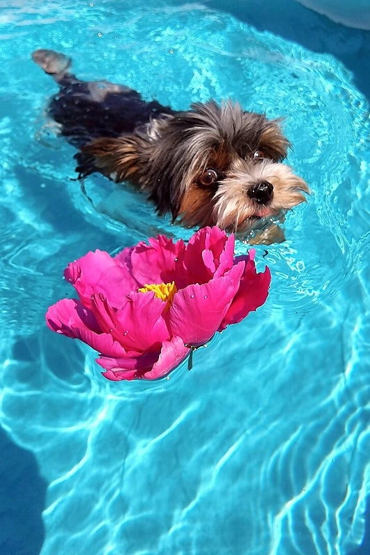 „Huawei P40 Pro“ išmaniuoju telefonu daryta nuotrauka