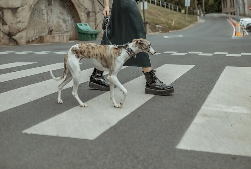 E. Gutauskaitės suknelių kolekcija / „Justina Rau Photography“ nuotr.