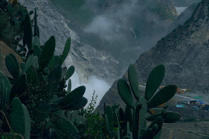 Liu Chuang videoinstaliacija